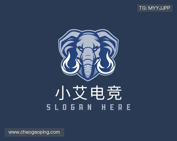 认识小艾电竞